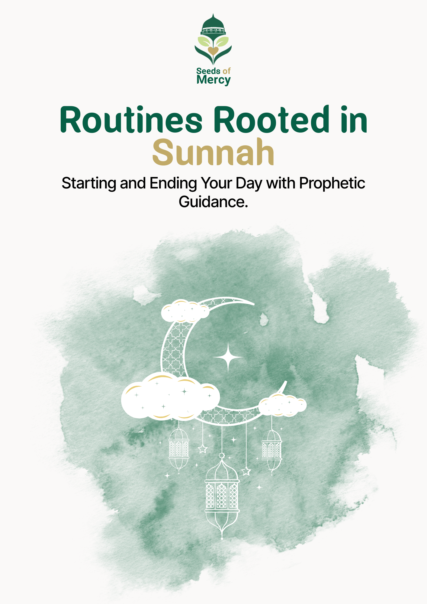 Routines Rooted in Sunnah - Seeds of Mercy